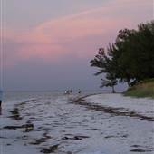 Bean Point Beach