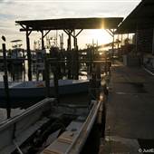Fishery Factory