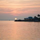 Tarpon Pointe Grill Restaurant