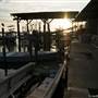 Fishery Factory