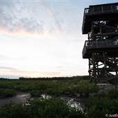 Robinson Preserve