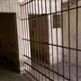 Jail