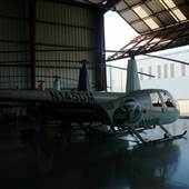 Dolphin Aviation