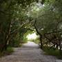 De Soto National Memorial