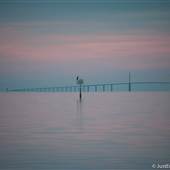 South of Skyway Bridge